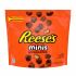 Reeses Peanut Butter Cups Minis - 226 g